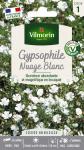 Fleurs - Gypsophile Nuage Blanc - PACKAGING_RECTO